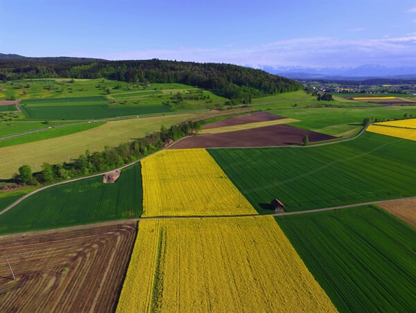 /agriculture/hands-on-learning-a-day-at-the-farm